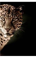 Leopard Notebook