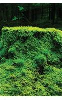 Moss Carpet Notebook: Blank Journal Diary Memoir Log Logue