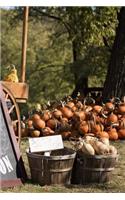 Pumpkin Patch Notebook
