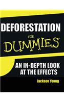 Deforestation for Dummies: An In-Depth Look at the Causes