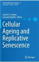 Cellular Ageing and Replicative Senescence