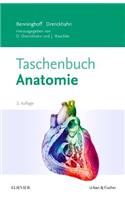 Benninghoff Taschenbuch Anatomie