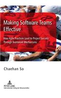Making Software Teams Effective: How Agile Practices Lead to Project Success Through Teamwork Mechanisms