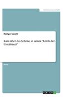 Kant über das Schöne in seiner "Kritik der Urteilskraft"