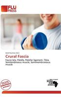 Crural Fascia