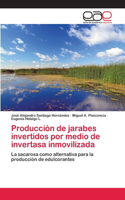 Producción de jarabes invertidos por medio de invertasa inmovilizada