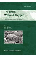 Brain Without Oxygen