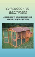 Chickens For Beginners: Ultimate Guide To Building Chicken Coop & Raising Chickens Effectively: How Can I Make My Chicken Coop Better