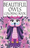Beautiful Owls Coloring Book
