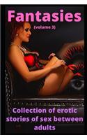 Fantasies (volume 3): Collection of erotic stories of sex between adults