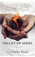 Valley Of Ashes