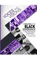 Voices and Visions