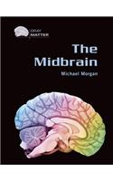 Midbrain