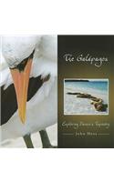 The Galapagos