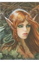 Messenger Fairy Journal