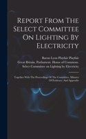 Report From The Select Committee On Lighting By Electricity: Together With The Proceedings Of The Committee, Minutes Of Evidence, And Appendix