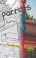 Parrot Coloring Pages: Beautiful Parrots Drawings for Kids and for Adults Relaxation