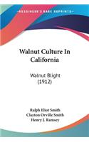 Walnut Culture In California