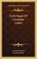 Early Stages Of Carabidae (1904)