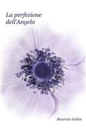 La Perfezione Dell'angelo