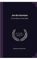 Joe the Surveyor: Or, the Value of a Lost Claim