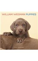 William Wegman Puppies 2020 Wall Calendar