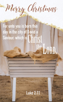 Christmas Bulletin: Merry Christmas (Package of 100): Luke 2:11 (Kjv)