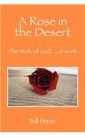 Rose in the Desert