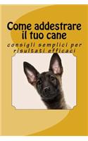 Come addestrare il tuo cane