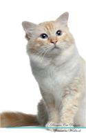 Birman Cat Affirmations Workbook Birman Cat Presents: Positive and Loving Affirmations Workbook. Includes: Mentoring Questions, Guidance, Supporting You.
