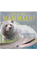 What are Mammals? Animal Book for 2nd Grade Children's Animal Books