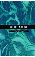 Secret Marble: Turquoise Marble Password Notebook Help You Conceal and Protect Your Password Information