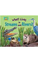 What Lives in Streams and Rivers?