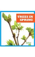 Trees in Spring: (What Happens in Spring?)