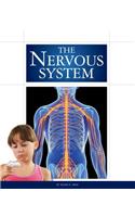 The Nervous System