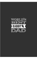 Rabbit Dad