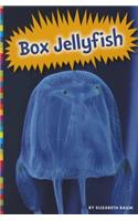 Box Jellyfish
