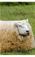 This Huge Sheep is a Unit Journal: Take Notes, Write Down Memories in this 150 Page Lined Journal