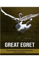 Great Egret: Fun Facts & Cool Pictures