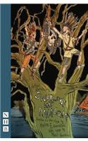 Swallows and Amazons: (NHB Modern Plays)