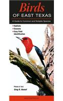 Birds of East Texas