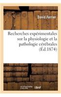 Recherches Expérimentales Sur La Physiologie Et La Pathologie Cérébrales