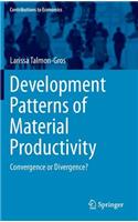 Development Patterns of Material Productivity