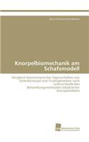 Knorpelbiomechanik am Schafsmodell