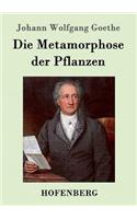 Metamorphose der Pflanzen