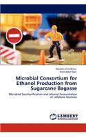 Microbial Consortium for Ethanol Production from Sugarcane Bagasse