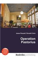 Operation Pastorius