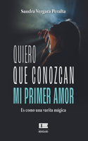 Quiero que conozcan mi primer amor