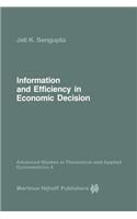 Information and Efficiency in Economic Decision