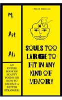 Souls Too Large To Fit In Any Kind of Memory